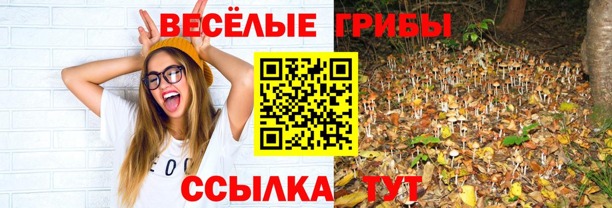 купить наркотик  Галлюциногенные грибы мухоморы  Вход с VPN  Зима 